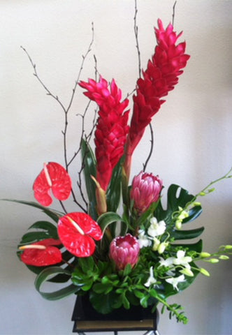 Tropical flowers such as Anthuriums, Ginger and Proteas