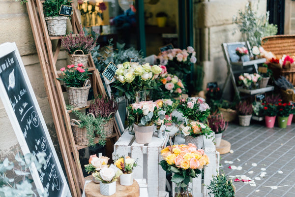All About Flowers business photo