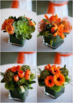 Fall square vase arrangements - All About Flowers 