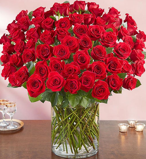 6 Dozen Red Roses – All About Flowers