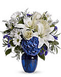 Beautiful In Blue - All About Flowers 