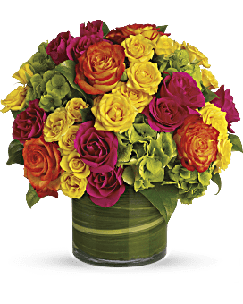 Mixed Roses - All About Flowers 