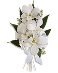 White orchid corsage - All About Flowers 