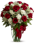 Two Dozen Roses in Red & White - All About Flowers 
