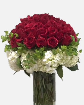 5 Dozen Roses & Hydrangea - All About Flowers 