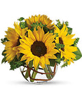 Sunny Sunflowers - All About Flowers 