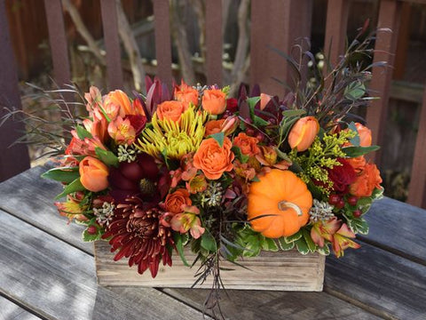 Fall Fabulous - All About Flowers 