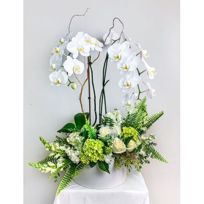 Fresh cut flowers with orchid plant - All About Flowers 