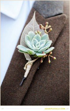 succulent boutonniere and corsage Succulent Boutonniere