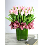 Tulips and Orchids - All About Flowers 