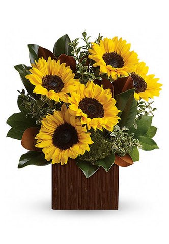 Bouquet of Sunflowers arranged in a nice vase 